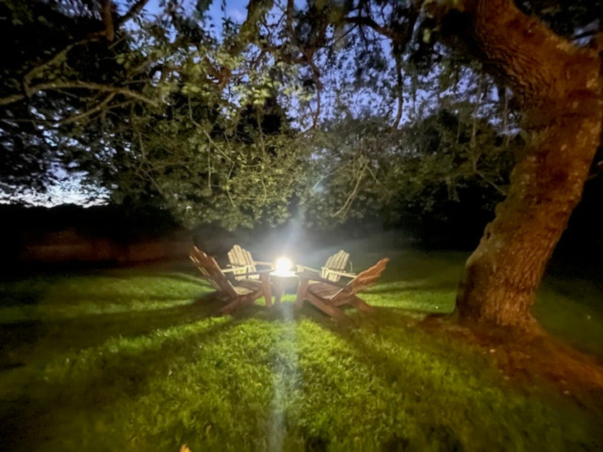 Adirondack chairs under a tree in a large backyard at night with a HAVEN solar portable lantern illuminating the area.