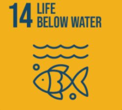 UN SDG Goal #14 of Life Below Water