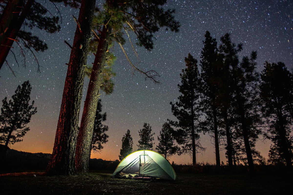 Camping tent under a starry sky in a forest illuminated by a HAVEN solar portable lantern.
